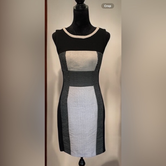 Yoana Baraschi Dress - Picture 7 of 7